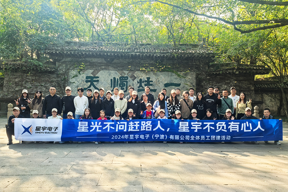 星宇電子(寧波)有限公司員工團隊風采展示