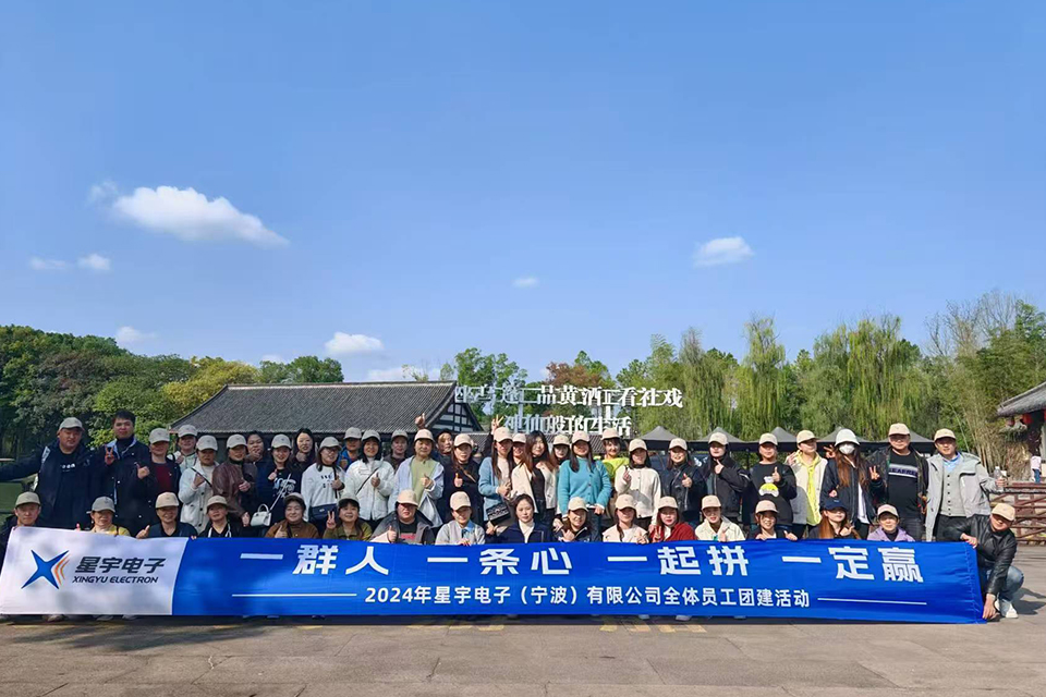 星宇電子(寧波)有限公司員工團隊風采展示